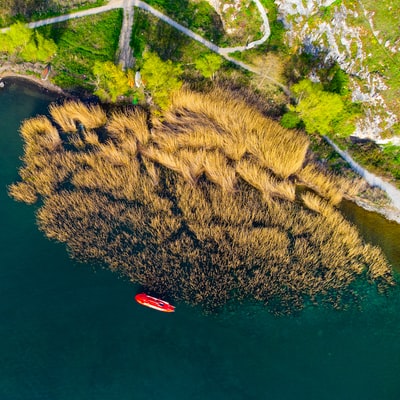 绿树和河流鸟瞰图